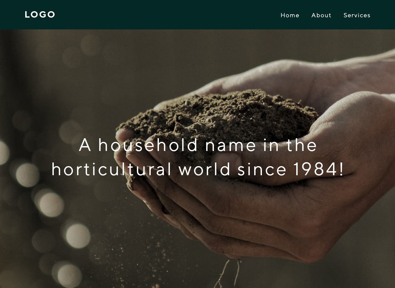 Een voorbeeld van een homepage kop die niet duidelijk het wat, waarom, en de actie uitlegt
