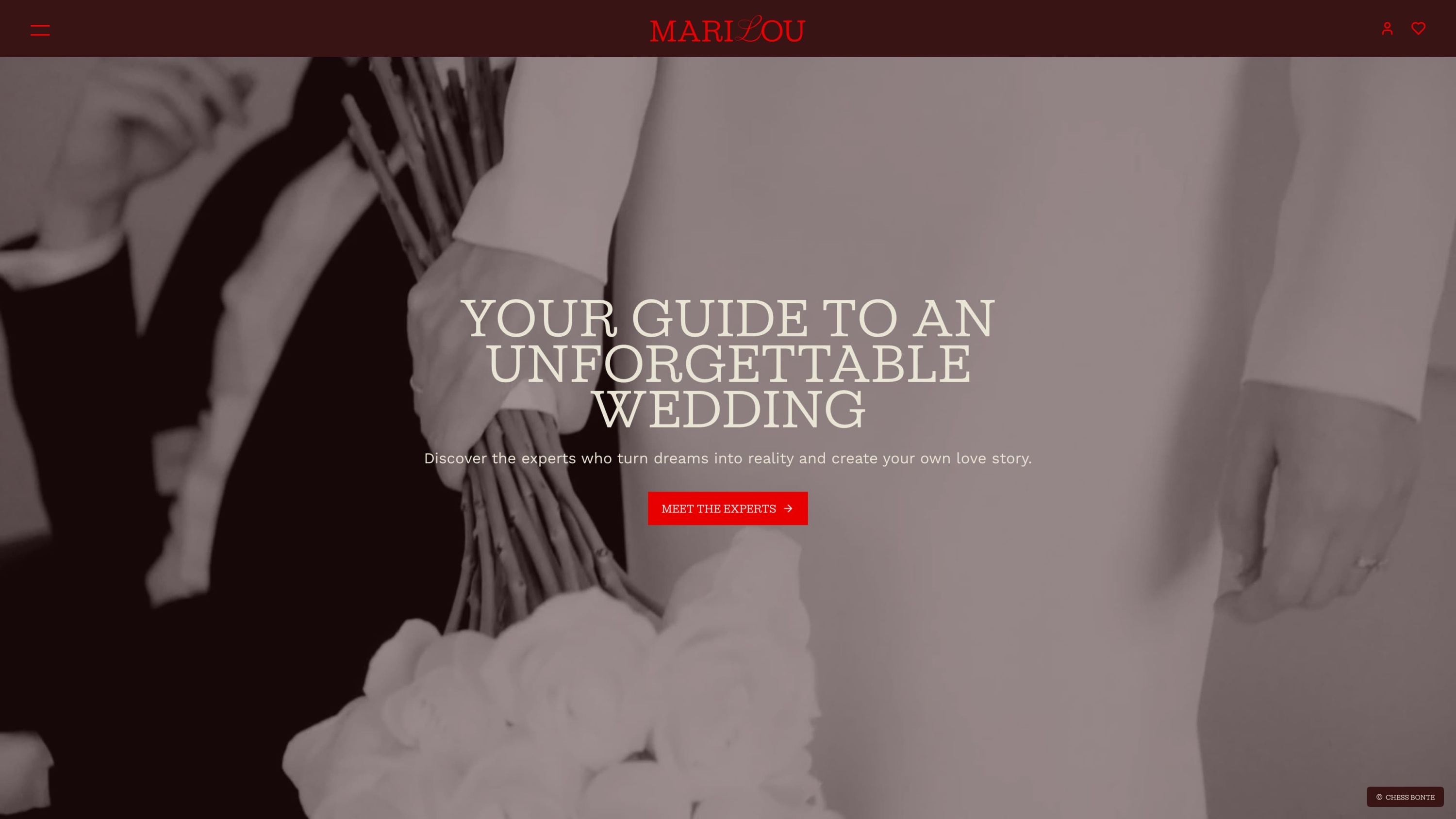 Screenshots of (details of) the website that Marilou had made by Heave Webdesign Antwerp