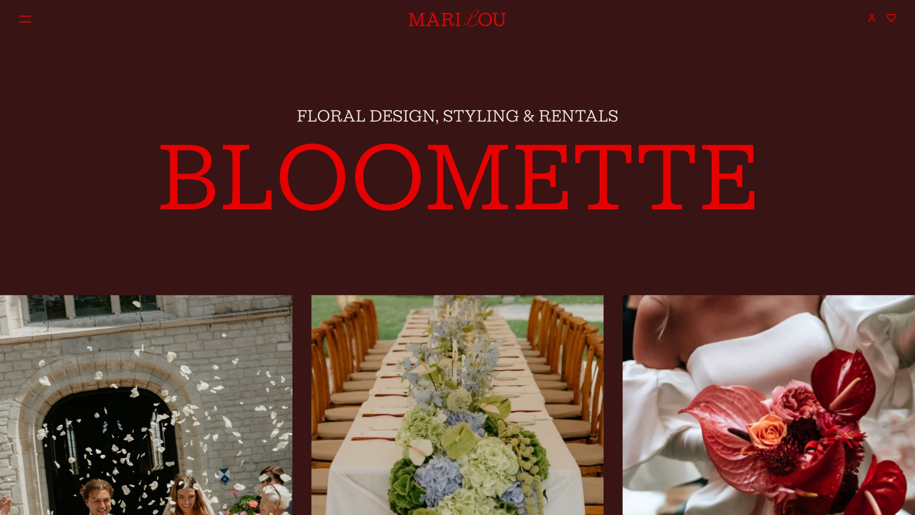 Screenshots of (details of) the Webapp, website that Marilou had made by Heave Webdesign Antwerp