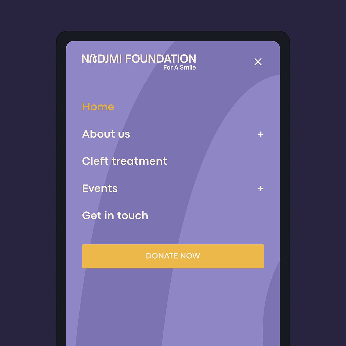 Screenshots van (details van) de website die Nadjmi Foundation liet maken door Heave Webdesign Antwerpen