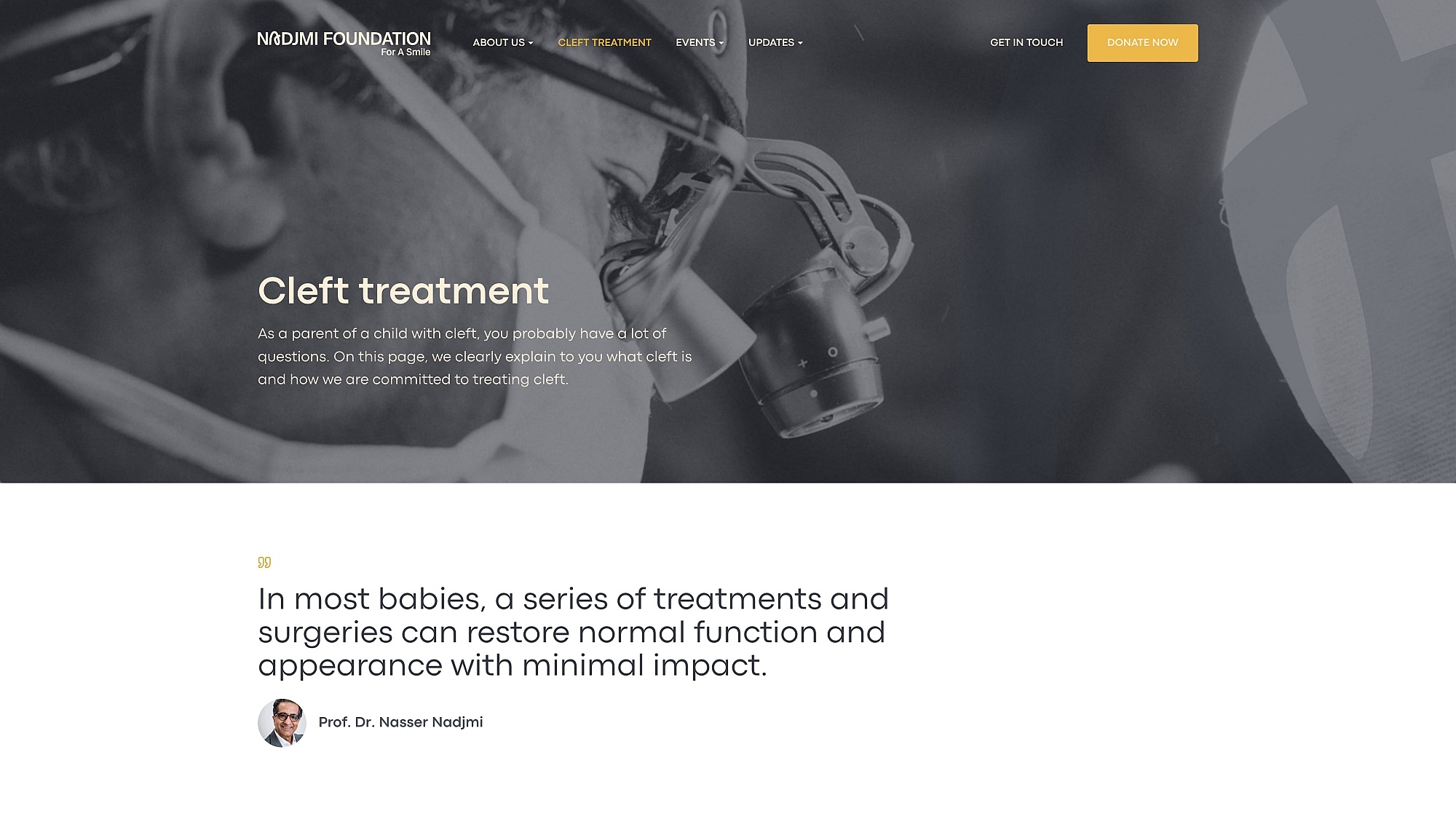 Screenshots van (details van) de website die Nadjmi Foundation liet maken door Heave Webdesign Antwerpen