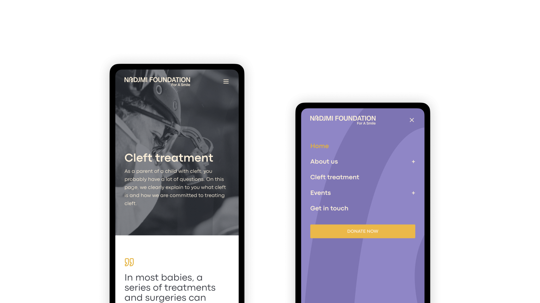 Screenshots van (details van) de Website die Nadjmi Foundation liet maken door Heave Webdesign Antwerpen