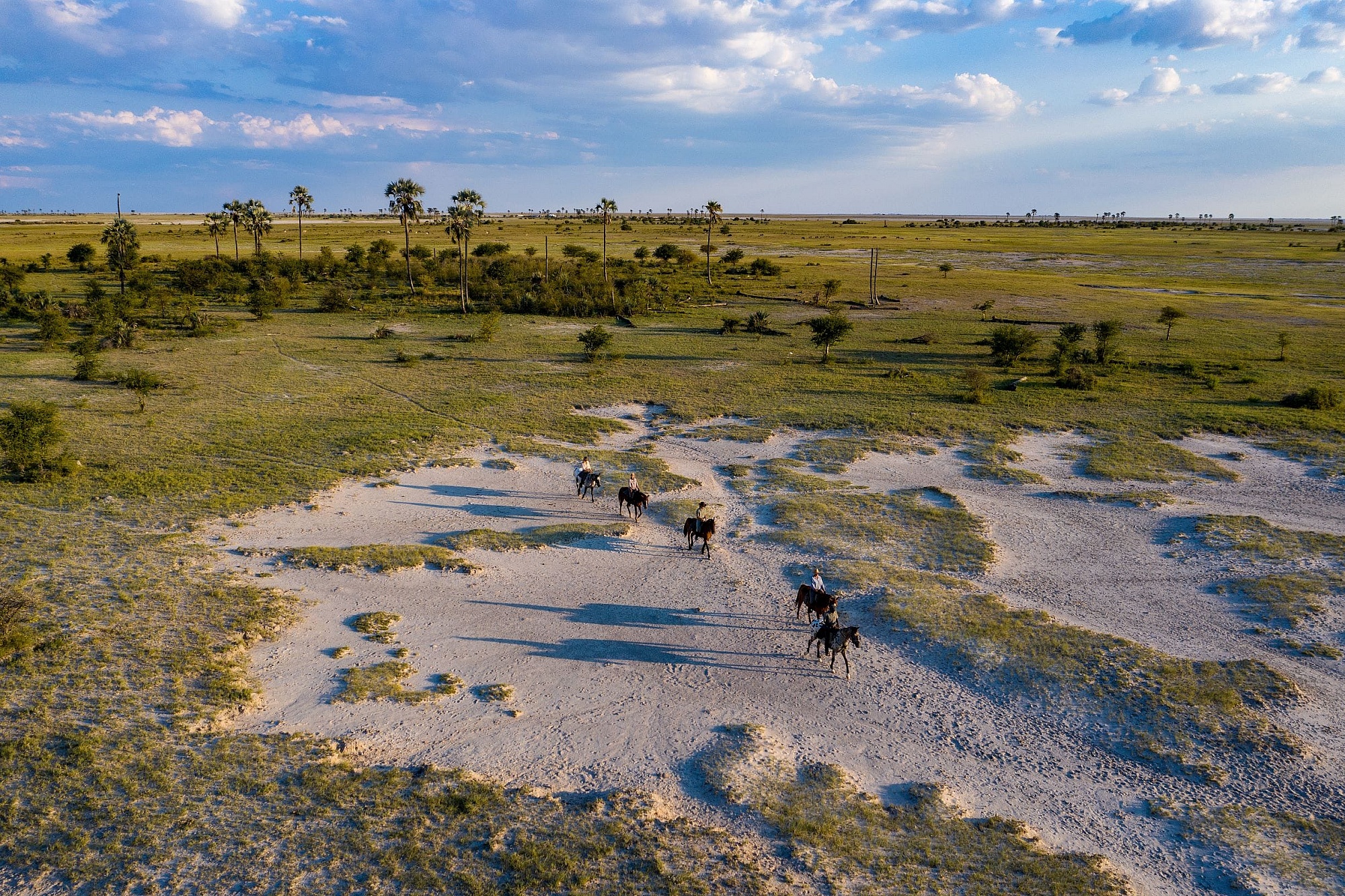 Aerial view of a group of horses with riders traversing a vast open landscape dotted with small patches of greenery and scattered palm trees under a blue sky with soft clouds.